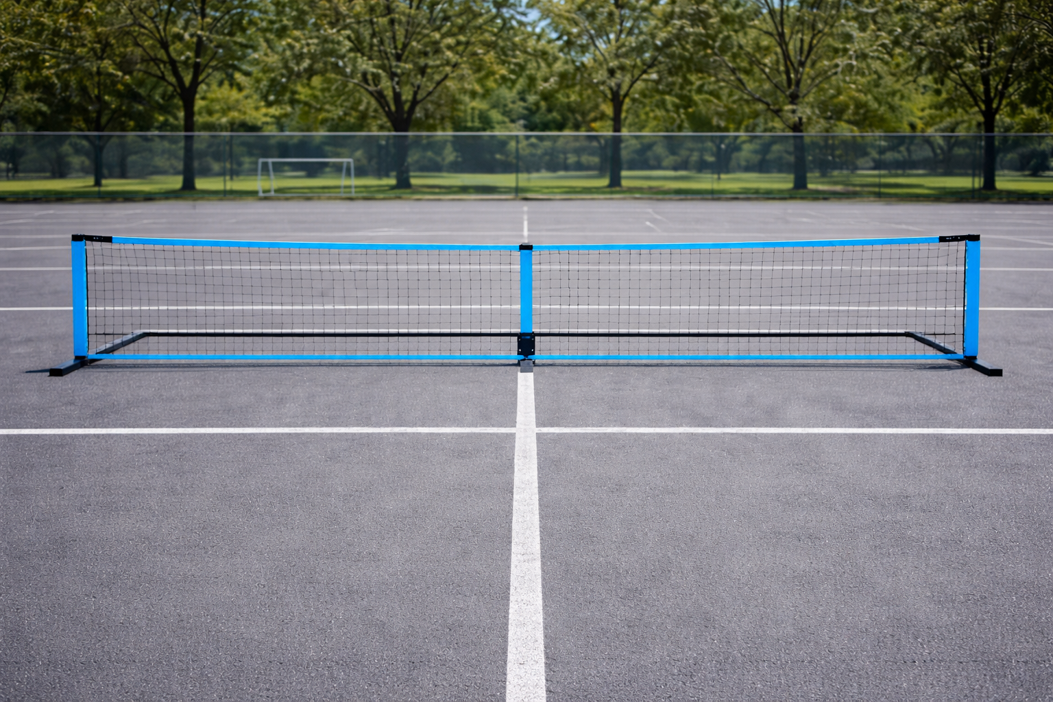 Pro Elite Carbon Fiber Pickleball Paddle - lifestyle